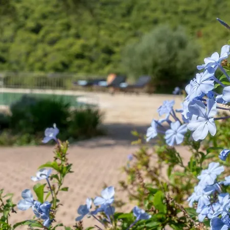 Ormos Luxury Villas Βίλα *