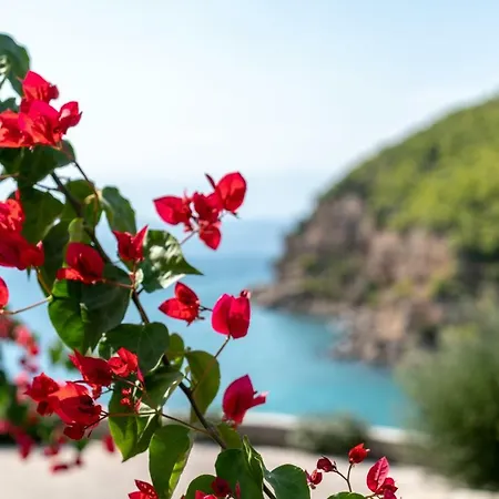 Ormos Luxury Villas Vila Kranidi